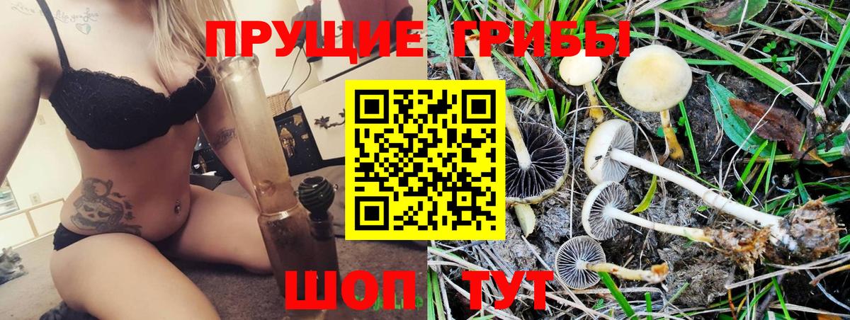 Галлюциногенные грибы Cubensis  Вход с VPN  Зеленодольск 